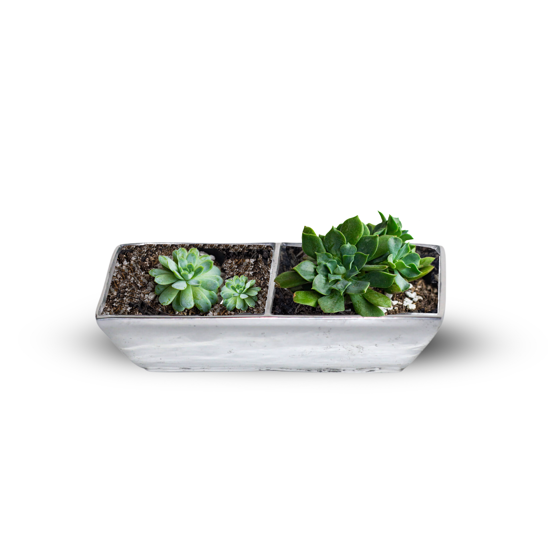 small silver plant pots Two in One Pewter Silver-Finish Mini Pot – Blissara