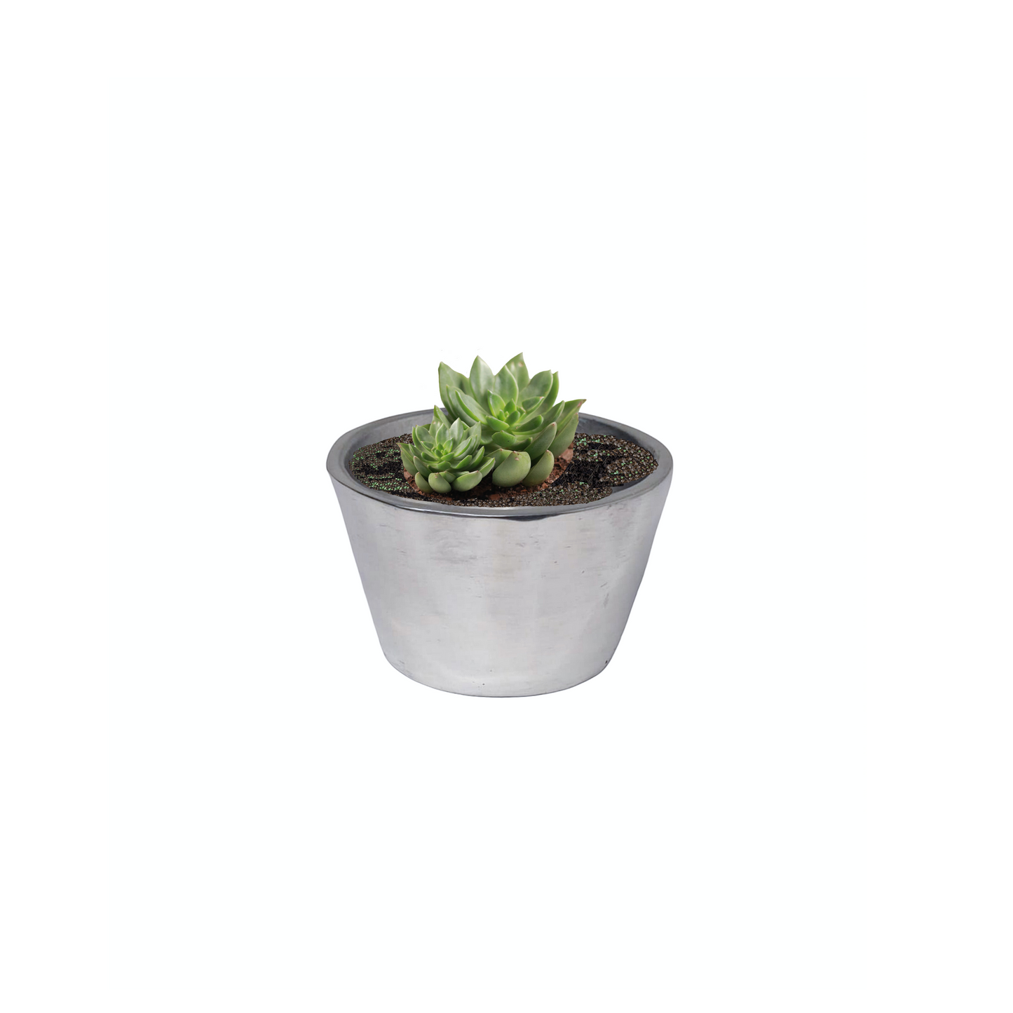 Short Succulent Pot, Modern Tapered Design Pewter Silver-Finish Mini Pot